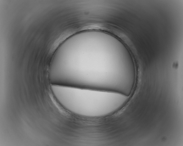 X0000111001233200906191136