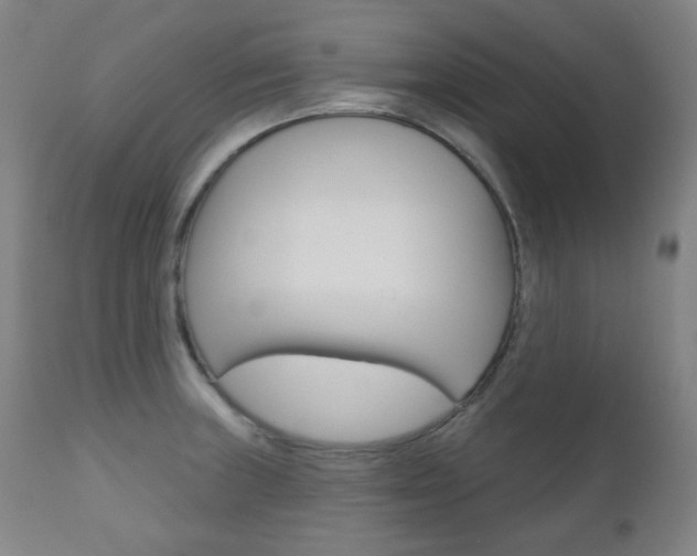 X0000111001235200906191136