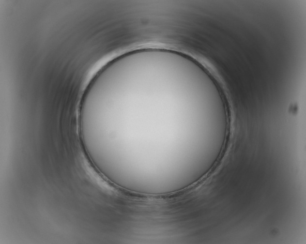 X0000111001238200906191136