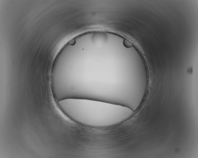 X0000111001239200906191136
