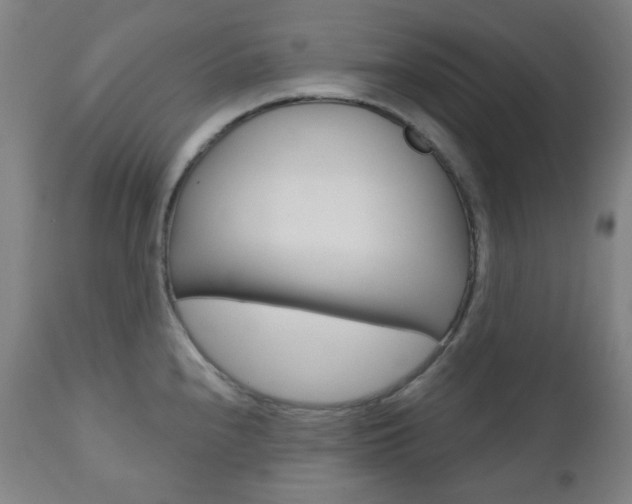 X0000111001240200906191136