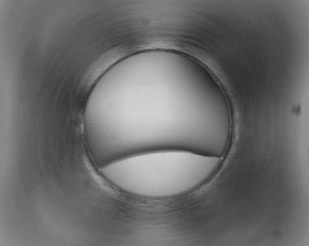 X0000111001241200906191136
