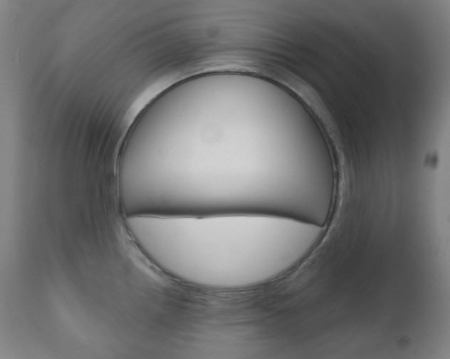 X0000111001242200906191136