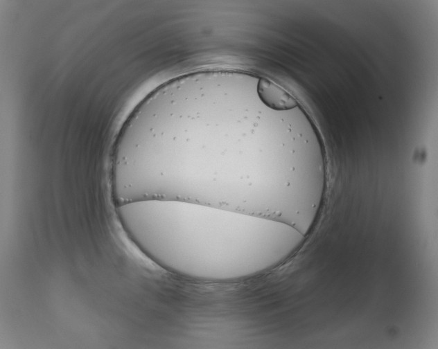 X0000111001243200906191136