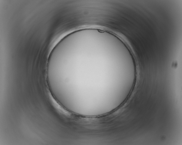 X0000111001244200906191136