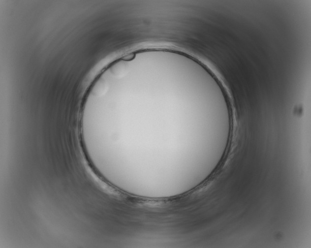 X0000111001245200906191136
