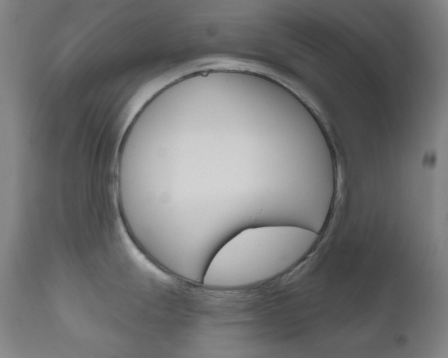 X0000111001247200906191136
