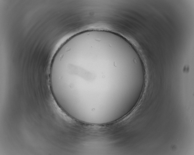 X0000111001248200906191136