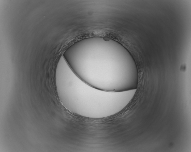 X0000111001249200906191135
