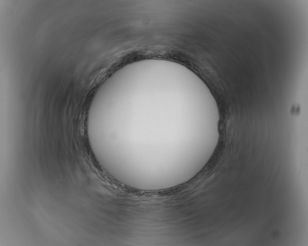 X0000111001250200906191135