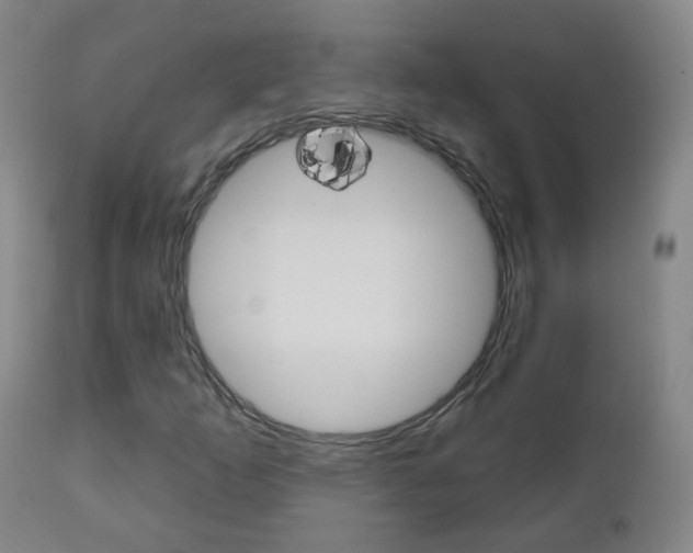X0000111001253200906191135