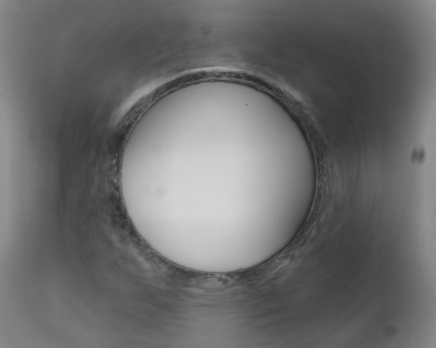 X0000111001255200906191135