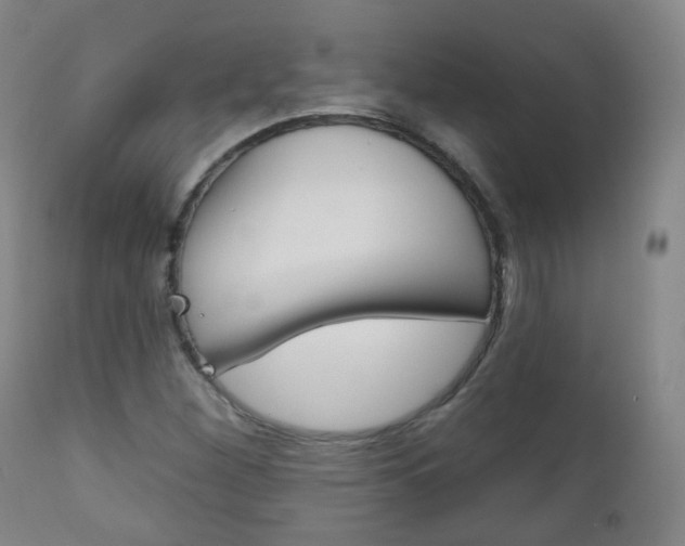 X0000111001260200906191135