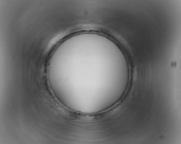 X0000111001261200906191135