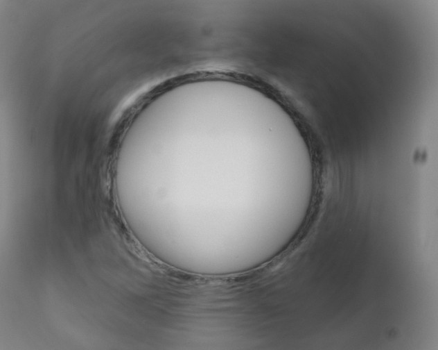 X0000111001262200906191135