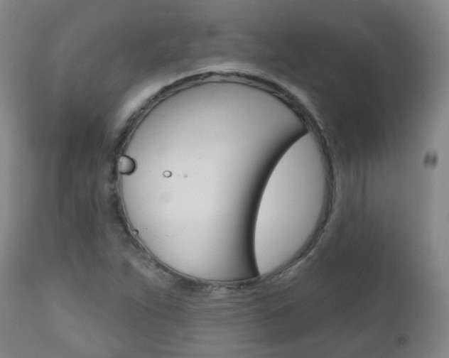 X0000111001263200906191135