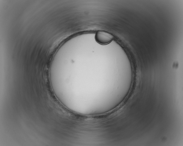X0000111001265200906191135