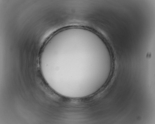 X0000111001267200906191135