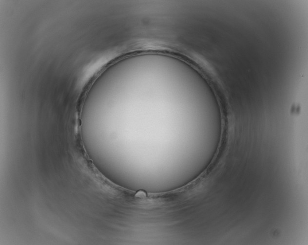 X0000111001269200906191135