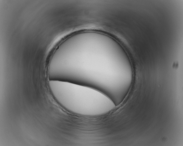 X0000111001270200906191135