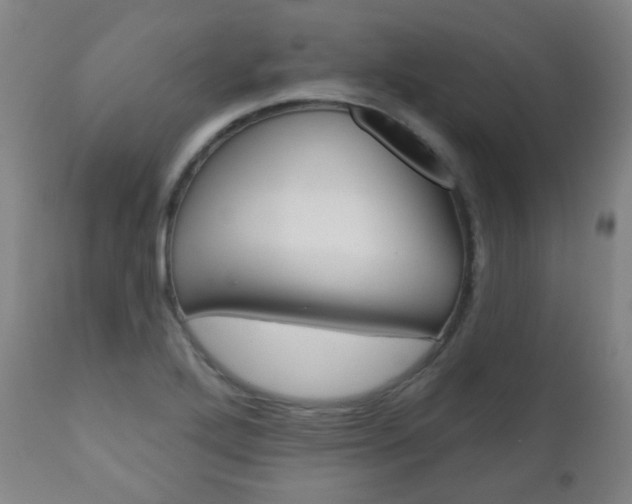 X0000111001272200906191135