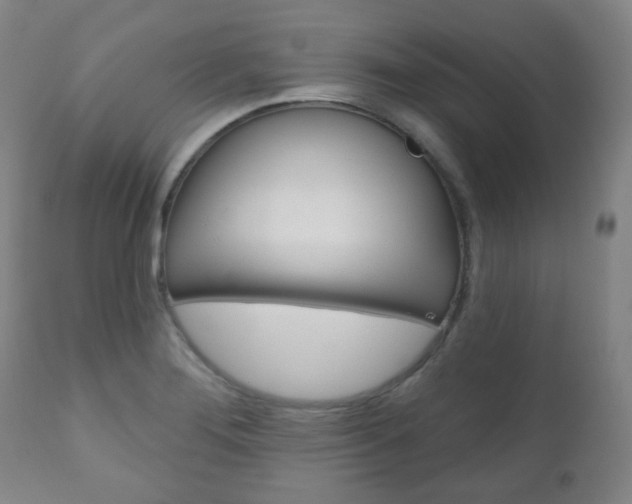 X0000111001276200906191135