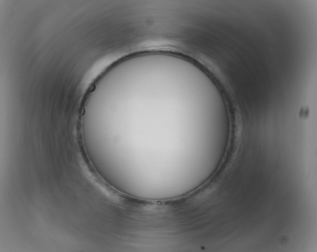 X0000111001277200906191135