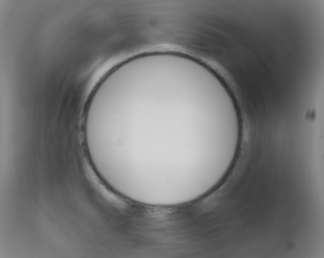 X0000111001278200906191135