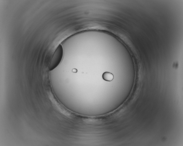 X0000111001281200906191135