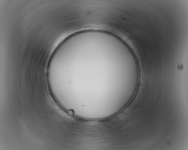 X0000111001283200906191135