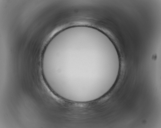 X0000111001286200906191135