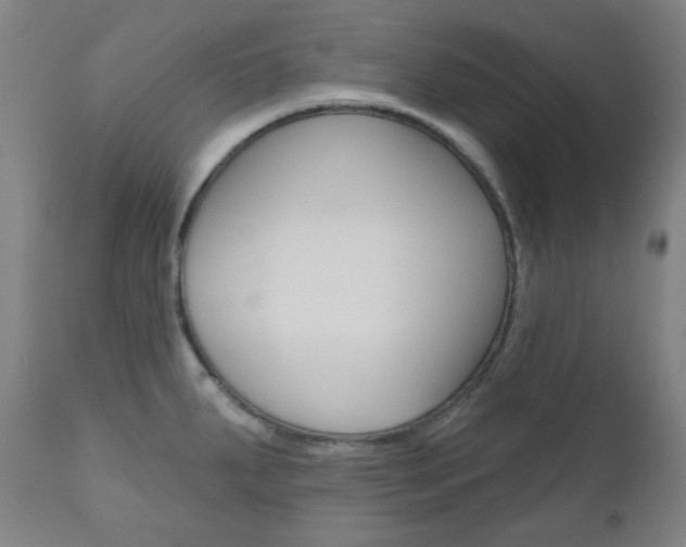 X0000111001287200906191135