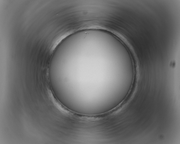 X0000111001289200906191134