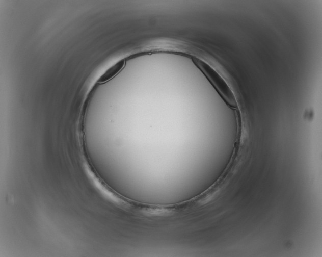 X0000111001293200906191134