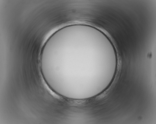X0000111001294200906191134