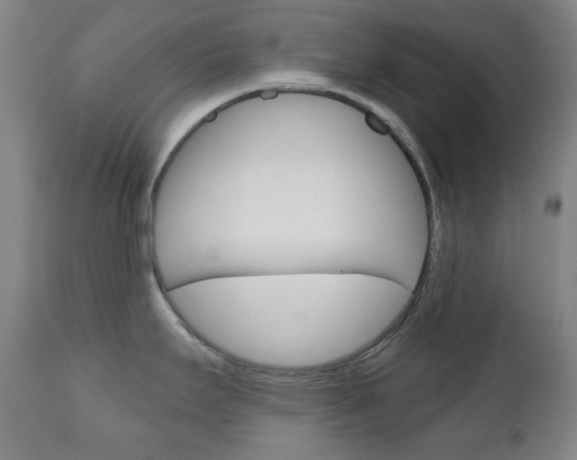 X0000111001295200906191134