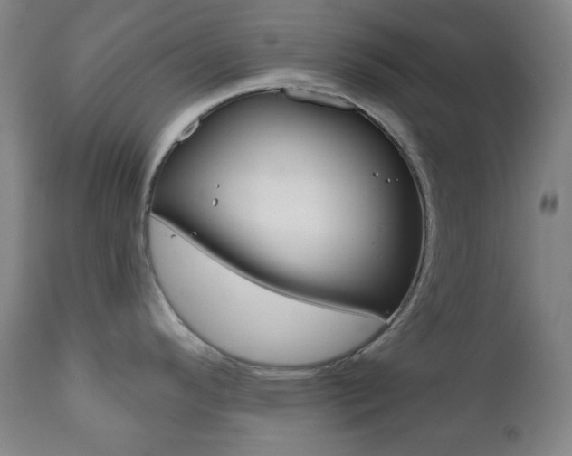 X0000111001296200906191134