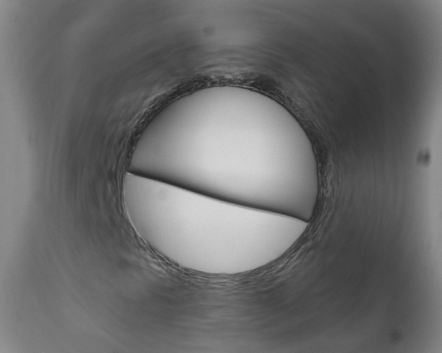 X0000111001297200906191134