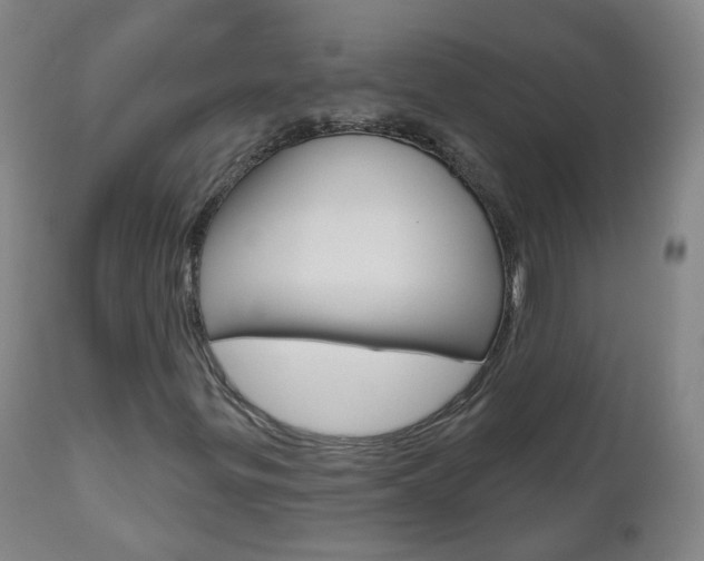 X0000111001299200906191134