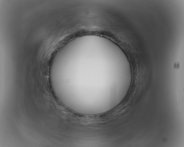 X0000111001301200906191134