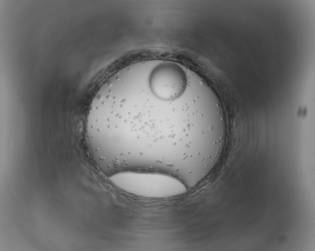 X0000111001302200906191134