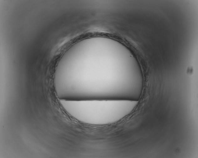X0000111001303200906191134