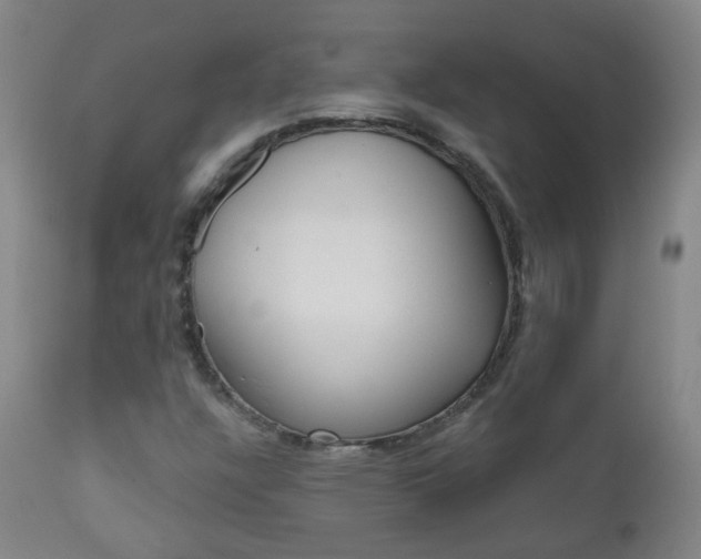 X0000111001304200906191134