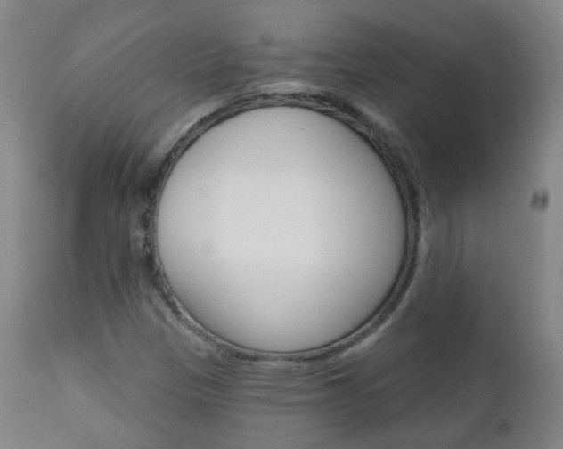 X0000111001305200906191134