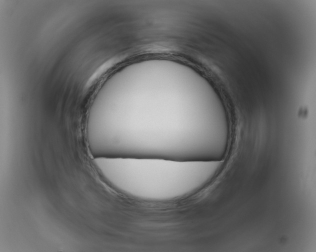 X0000111001306200906191134
