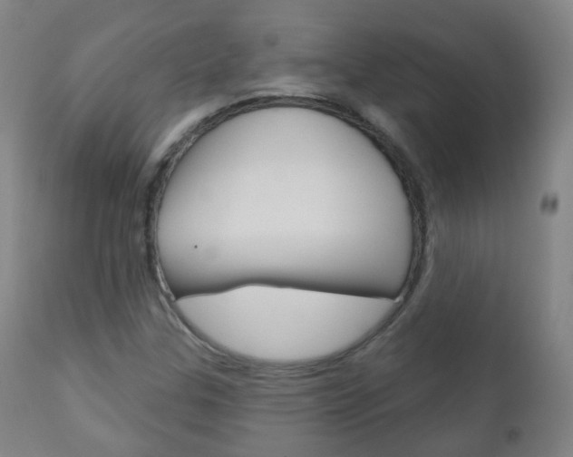 X0000111001307200906191134