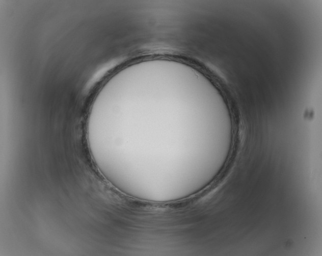 X0000111001309200906191134