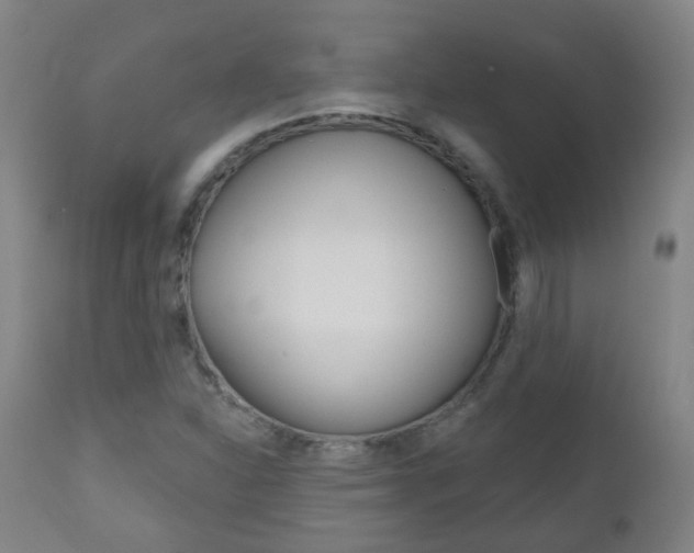 X0000111001310200906191134