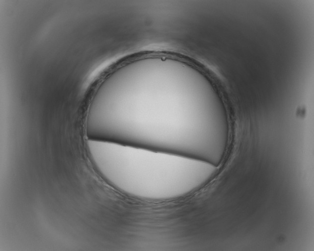 X0000111001311200906191134