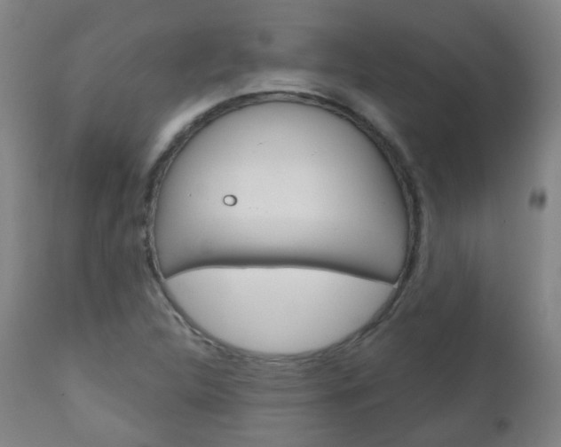 X0000111001312200906191134